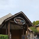 콩콩어린이공원 | [서울/야외/공원+동물원] 11월 단풍구경! 아이들과 함께한 어린이대공원 동물원 🎈(토요일방문 &amp; 주차...