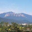 훼미리오락실 이미지