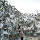 한양대(디자인문화관) 이미지