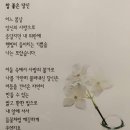 명동역5번출구가판 이미지