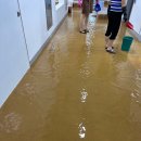 당진시 당진시장길 이미지