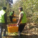 서구자원봉사센터 이미지