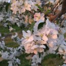 아름사과공원 이미지