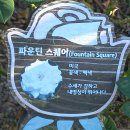 장미(파운틴 스퀘어 (Fountain Square)) 이미지