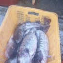 만남식당 이미지