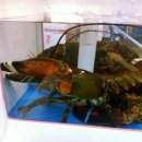 우정 농수산 이미지