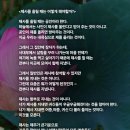 사대부제사
