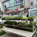 일동농약사 이미지