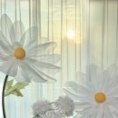 인천 자이언트플라워 데이지 실크플라워 포토존 제작 후기