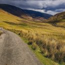 작은등샘 이미지