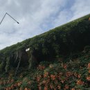 뚝섬한강공원-29 이미지