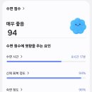 오아시스장 이미지