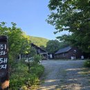 곰배령 쥐와 돼지 이미지