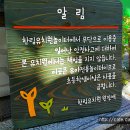 한림 유치원 이미지