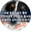 반려하다 | 사료 토핑으로 좋은 멍멍이대학 동결건조 강아지트릿 산양이유 홍시유