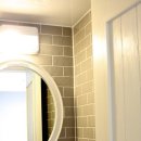 올리브 애견 이미지