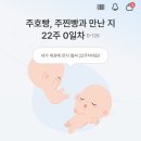 스마일하우스 | 쌍둥이 임신 21주-23주 일상 | 태아보험 | 성심당 임산부 프리패스 | 허리통증 | 배뭉침 | 태동파티
