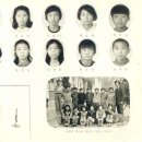 창락초등학교 이미지