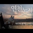 연천군(임진교) 네이버블로그