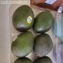 지팜 | 맛과 영양이 만나는 완벽한 조합 &#39;트릿지팜 페루산 아보카도&#39; 리뷰