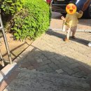 평공쌤 학회 재테크 스터디 정기 모임 후기