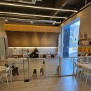 펌킨 펫하우스 서울숲 이미지