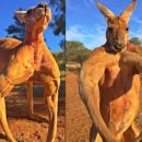 머스트짐PT 이미지