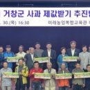 거창사과