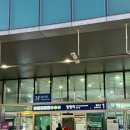 두곡리 27-20 철도용지 | 울릉도 여행① 배편 강릉 출발 소요시간 • 렌트카 • 저동항 맛집 가송식당
