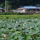 삼지연못 이미지