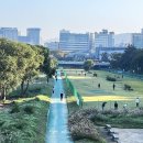 수내동파크골프장 이미지