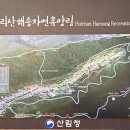 국립희리산해송자연휴양림 이미지