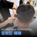 댕댕이 머리하는 날 | 일산남자머리 잘하는 곳 웨돔 미용실 오위드헤어에서 30분만에 커트 완성!