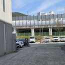 스타화이트치과의원 이미지