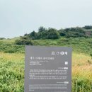 용머리 | [JEJU] 제주도 여행 날씨가 허락해야만 가능한 용머리 해안 후기