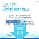 아디도(ADido)