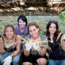 병주농장 이미지