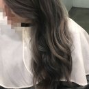 홍헤어칼라