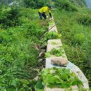 부귀주유소 이미지