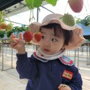 둥이농장 이미지