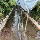 라즈베리힐 이미지