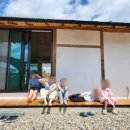 인이스테이 이미지