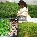 싱싱농가 이미지