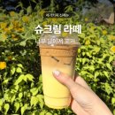 폴러스타커피 안양석수점 | 메가커피 슈크림 라떼 솔직리뷰 가성비는 인정 근데 맛은...
