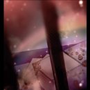 블랙룸