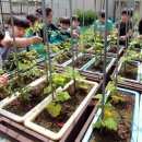 무정초등학교 앞 이미지