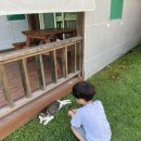 시우목장 | 포천 넓은 마당 캠핑장, 포프 곤충테마파크, Y자출렁다리