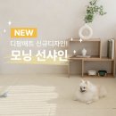 3개월 사용해본 디팡 제품 후기
