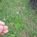 명학역 육교 이미지