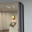 엘데브 본식 드레스 당일 계약 혜택 및 계약 후기